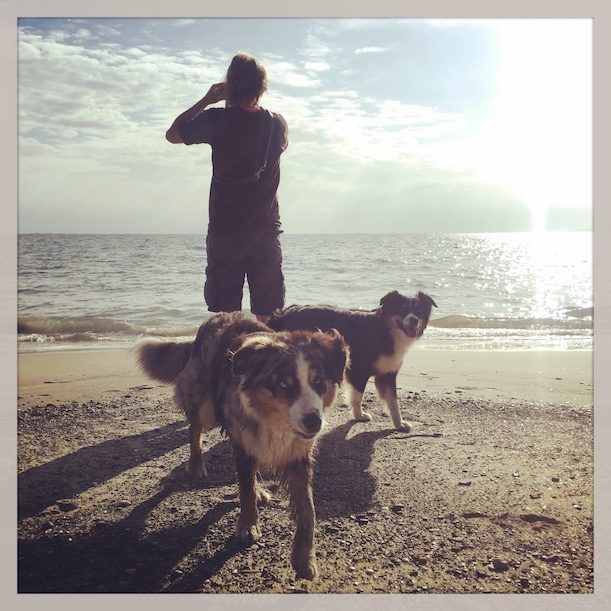 Hundestrand Hundestrand Italien Toskana Camping Wandern Wohnmobil