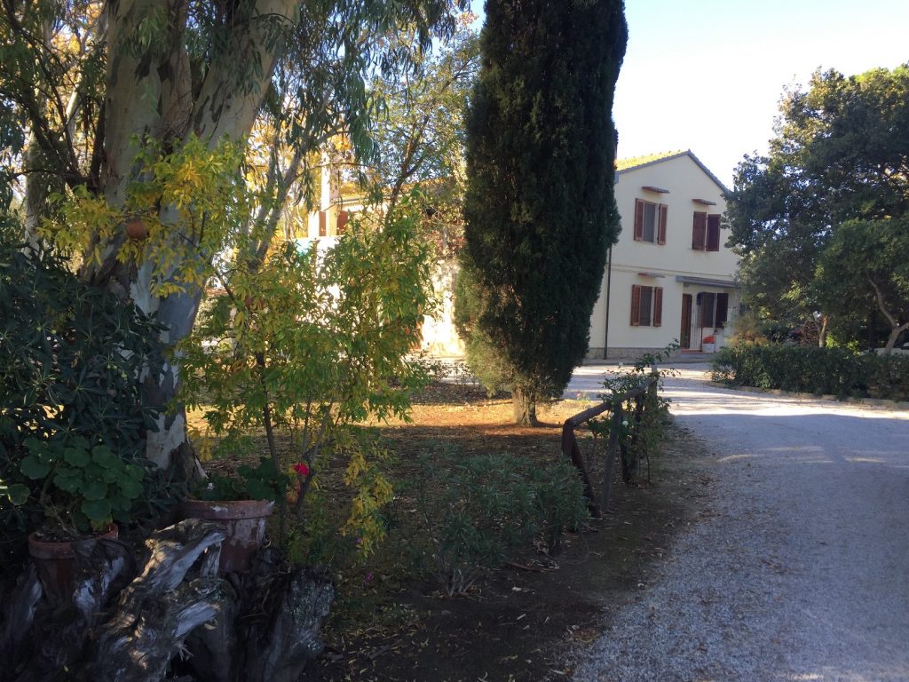 Toskana Toskana Hundestrand Wanderung Camping Hund Wohnmobil Italien