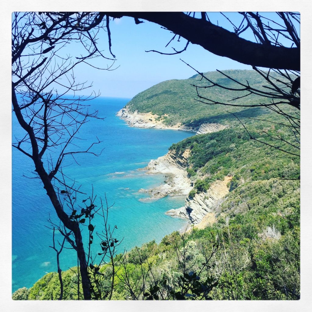 Toskana Toskana Hundestrand Wanderung Camping Hund Wohnmobil Italien