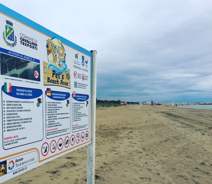 Hundestrand Cavallino Hundestrand Meer Hund Camping