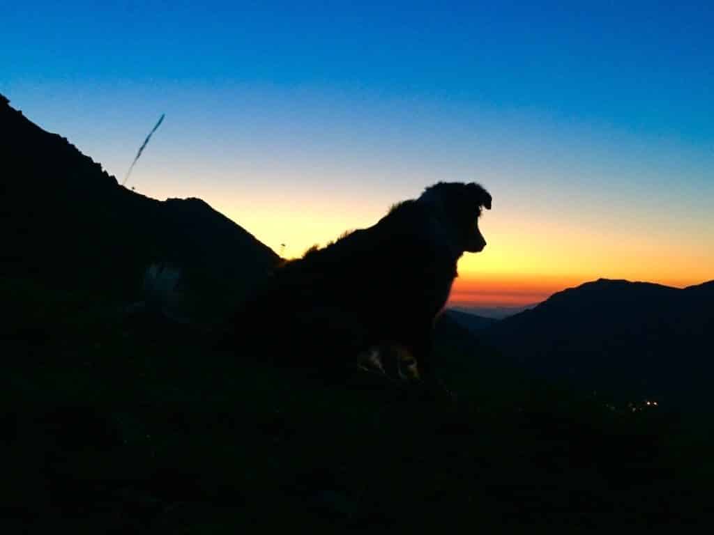 Pyrenäen Pyrenäen Hund Sonnenaufgang camping Kastenwagen
