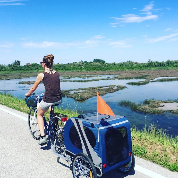 Lio Piccolo Fahrrad Fahrradtour Hund Hundeanhänger Lio Piccolo