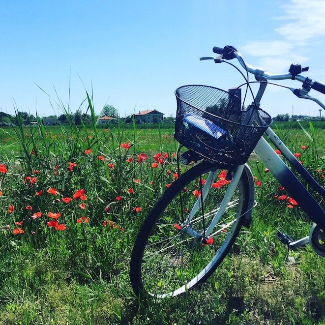 Fahrrad Fahrrad Fahrradverleih Cavallino