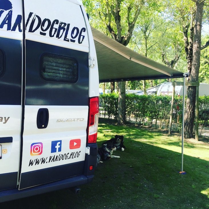 Europa Camping Village Europa Camping Village Campingplatz Hund Cavallino