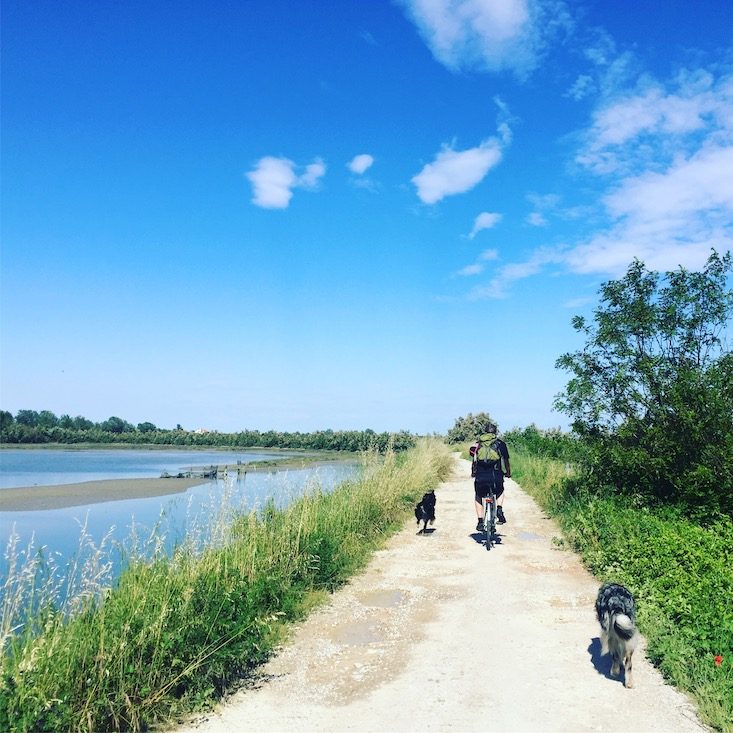 Cavallino Lio Piccolo Rad Radtour Hund