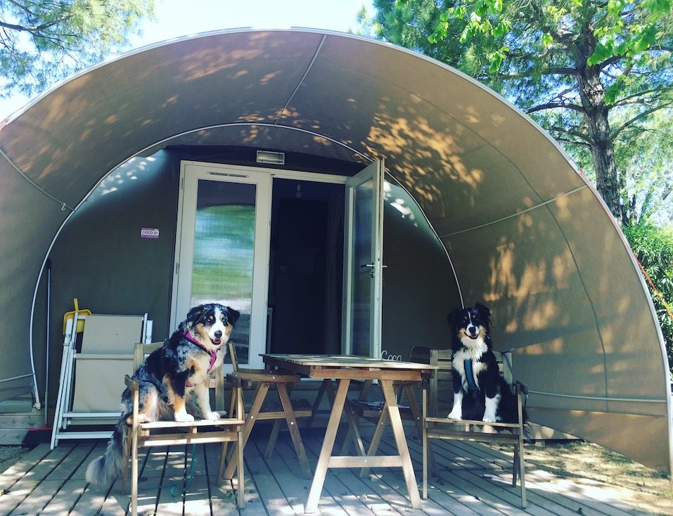 Cavallino Europa Camping Village Hund Glamping Lodge Italien