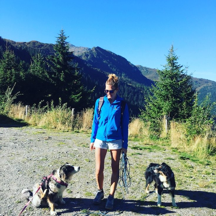 Wandern_Hund Australian Shepherd Wandern Tirol Camping