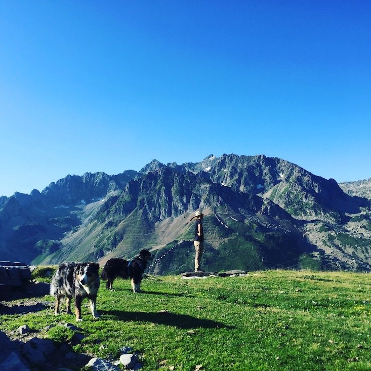 Frankreich Frankreich Hund Camping Wildcamping