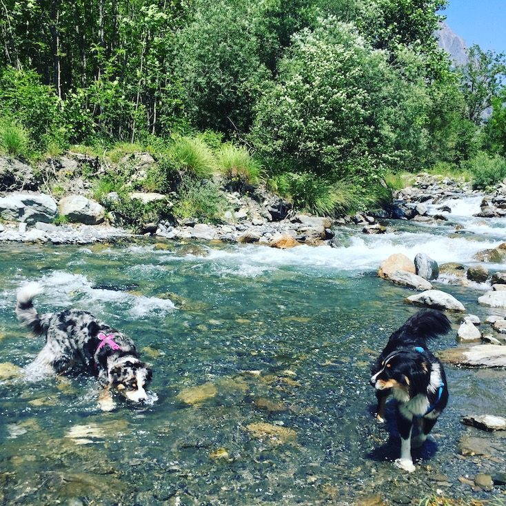 Col d'Ornon Col d'ornon Französische Alpen Frankreich hund camping wohnmobil