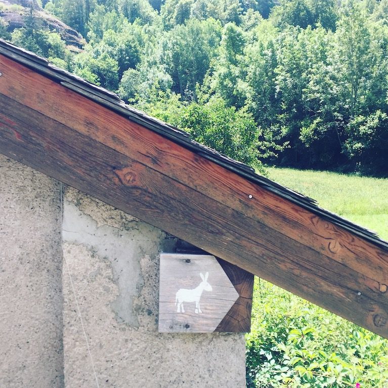 Malsanne Malsanne Frankreich Geheimtipp Esel Eseltrekking Abenteuer