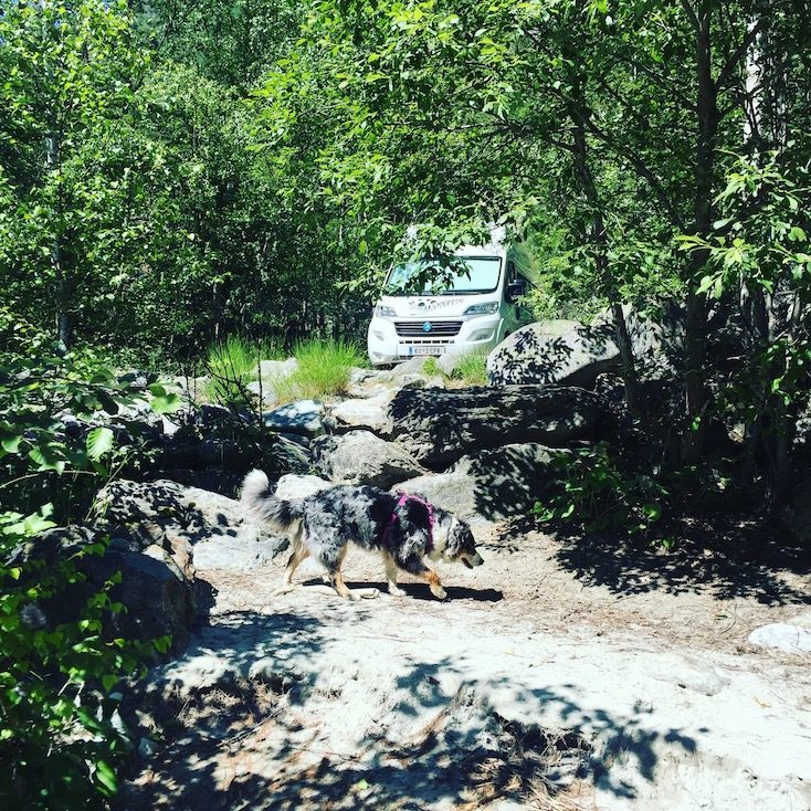 Vénéon Vénéon Französische Alpen Camping Wohnmobil Campingbus Wildcamping van hund Fluss