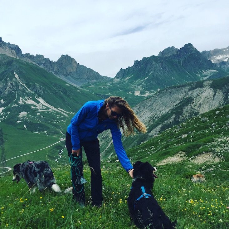 Col du Galibier Col du Galibier Französische Alpen Pässe Frankreich Pass Hund Wanderung
