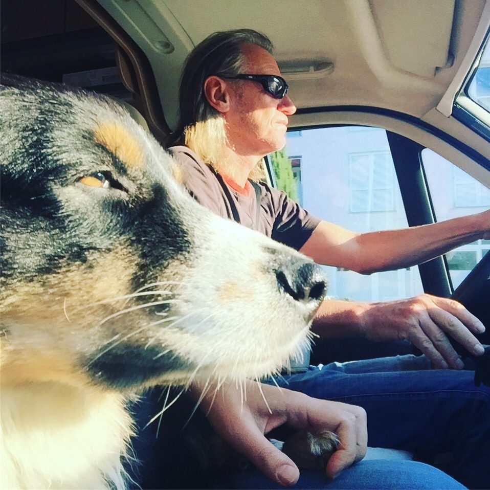 Reisen mit Hund Reisen Hund Camping Kastenwagen Australian Shepherd