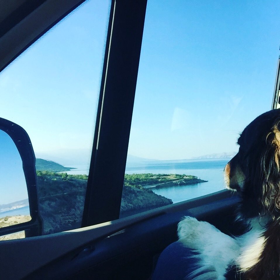 Reisen mit Hund Reisen mit Hund Camping mit Hund Wohnmobil Australian Shepherd