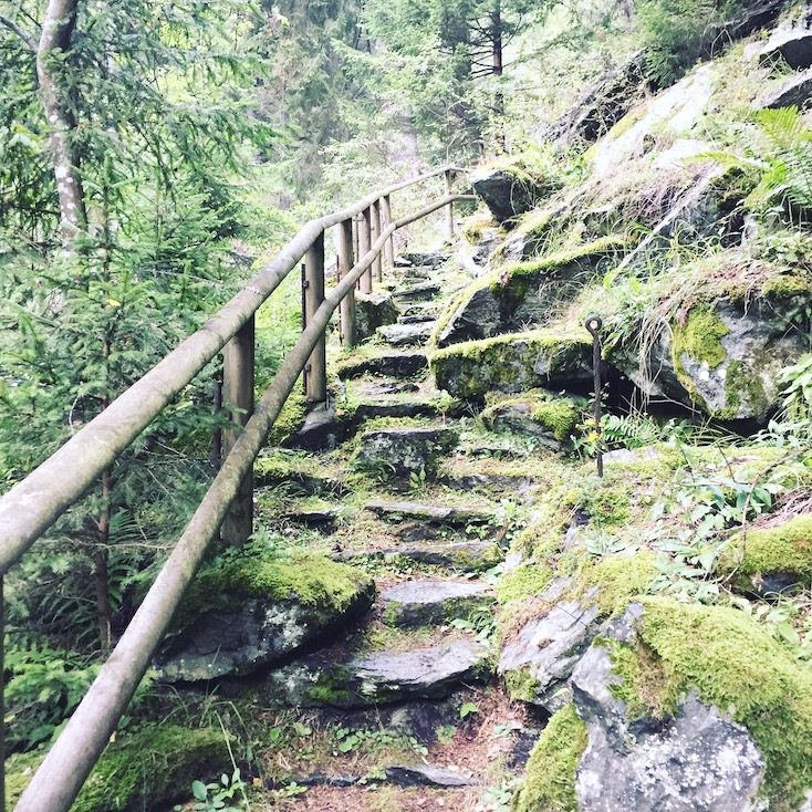 Alpe-Adria-Trail Alpe-Adria-Trail Hund Wandern Wanderung Kärnten Rabischschlucht