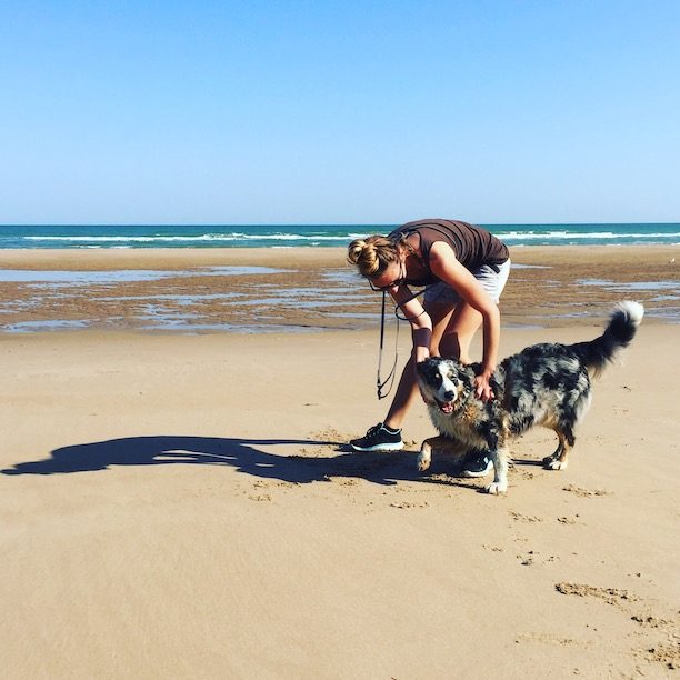 Normandie Hund Normandie Atlantik Reisen Camping