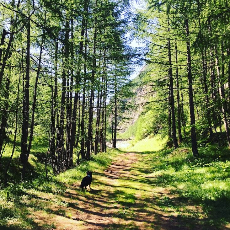 Val Cenis Bessans GR5 wandern mit Hund Weitwandern Fernwanderweg Frankreich Alpen