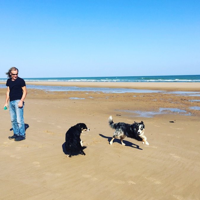 Normandie Normandie Atlantik Hund Hundestrand Frankreich Welthundetag Hundeliebe