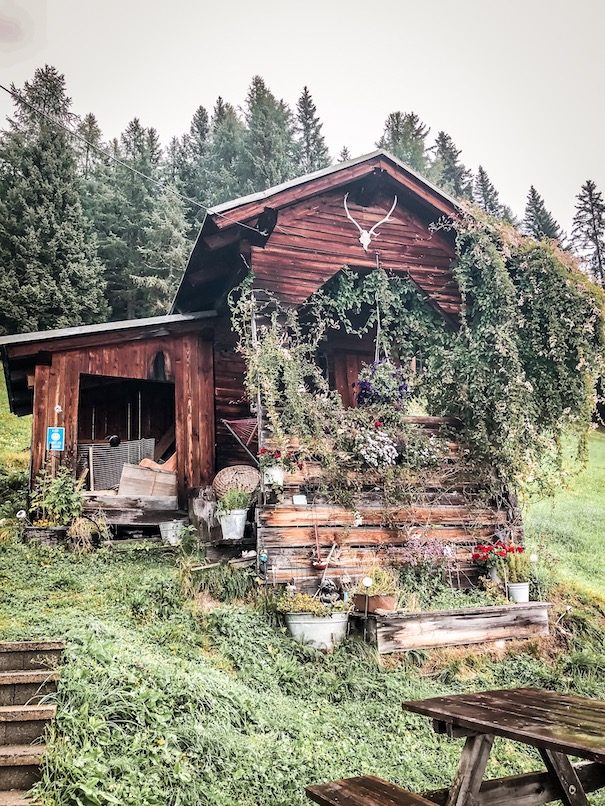 Alpe-Adria-Trail Wegwandern Wanderung Kärnten Hund