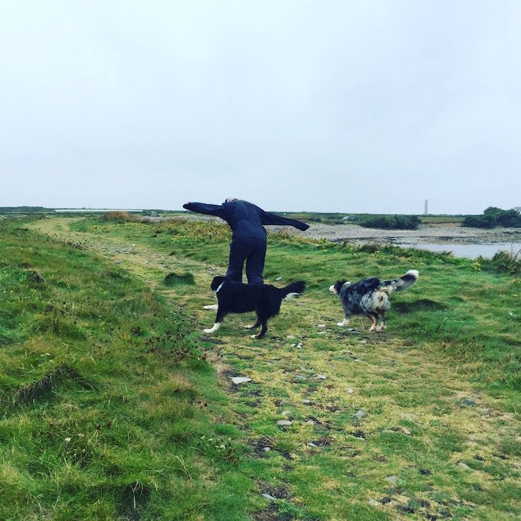 La Hague Frankreich Normandie La Manche Cotentin Hund Camping Wildcamping