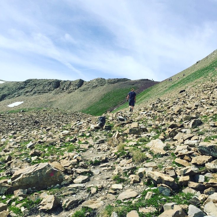 Col de la Bonette Wanderung Vallon des Touréis wandern mit hund Frankreich Alpen Lac Verdet