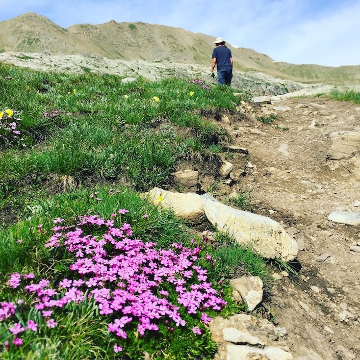 Col de la Bonette Wandern mit Hund Alpen Frankreich Wanderung