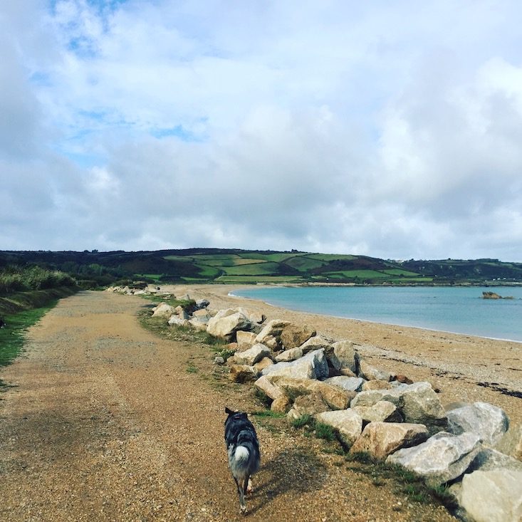 La Hague La Manche Frankreich Normandie Wandern Hund Weitwanderweg Zöllnerweg GR 223 Atlantik