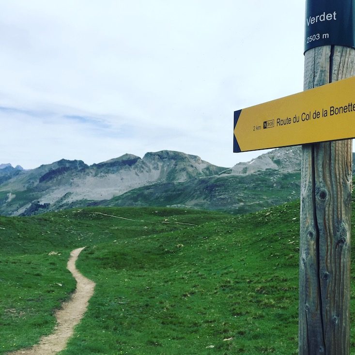 Col de la Bonette Route de la Bonette Wandern Lac Verdet Hund Frankreich Alpen