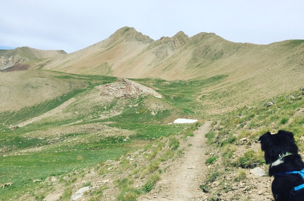 Col de la Bonette Vallon des Touréis Wandern Wanderung mit Hund Frankreich Alpen
