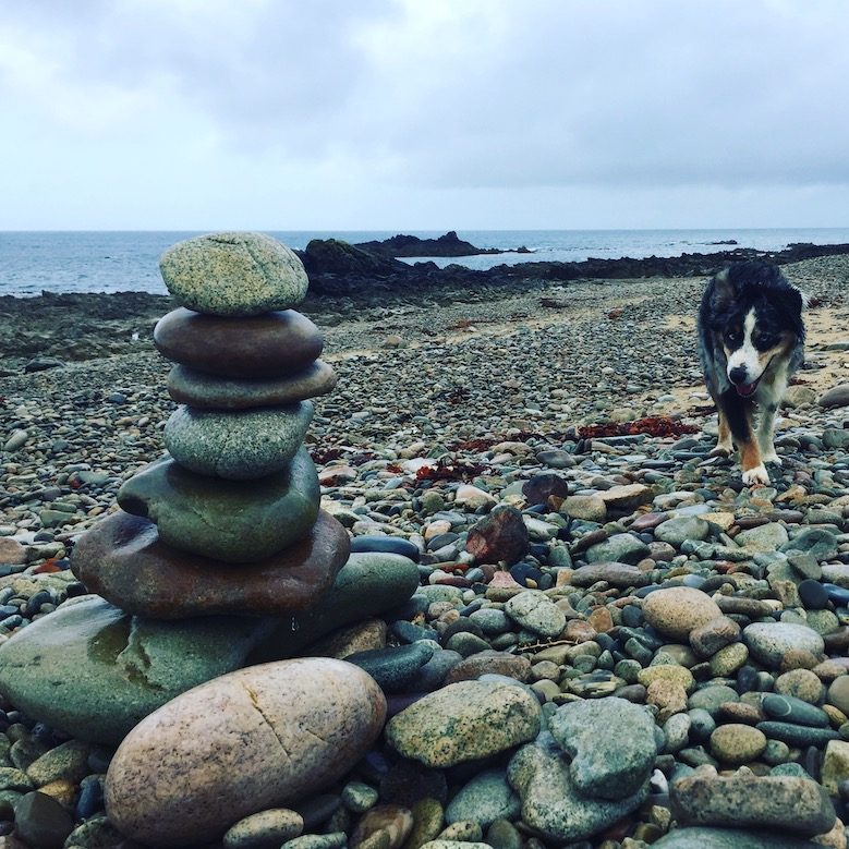 La Hague Normandie La Manche Wandern mit Hund Camping Wildcamping Australian Shepherd Atlantik