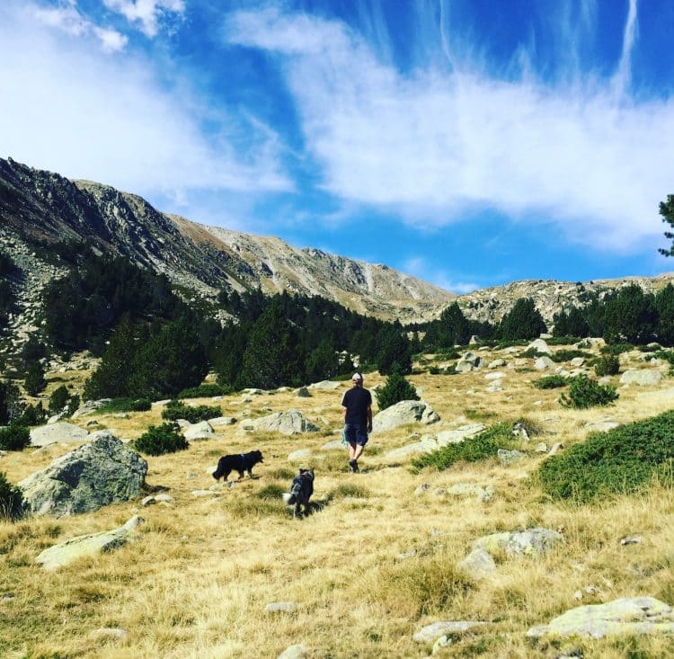Cerdanya Pyrenäen Katalonien Spanien Wandern Hund