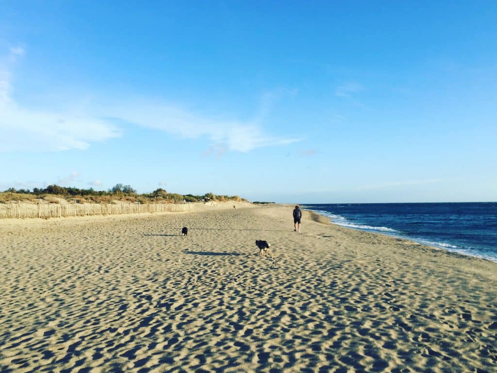 Languedoc-Roussillon Languedoc-Roussillon Okzitanien Le Brasilia Frankreich Südfrankeich Mittelmeer Reisen mit Hund Camping Urlaub