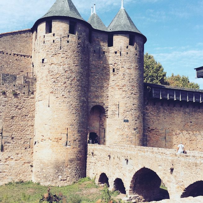 Languedoc-Roussillon Languedoc-Roussillon Carcassonne Hund Reisen mit Hund Camping mit Hund Südfrankreich Wohnmobil Campingbus