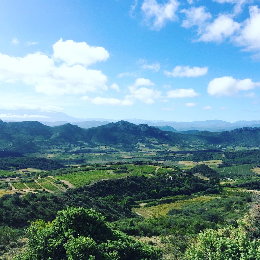 Languedoc-Roussillon Languedoc-Roussillon Wein Maury Aude Südfrankreich Frankreich-Urlaub Wohnmobil Camping-Reise