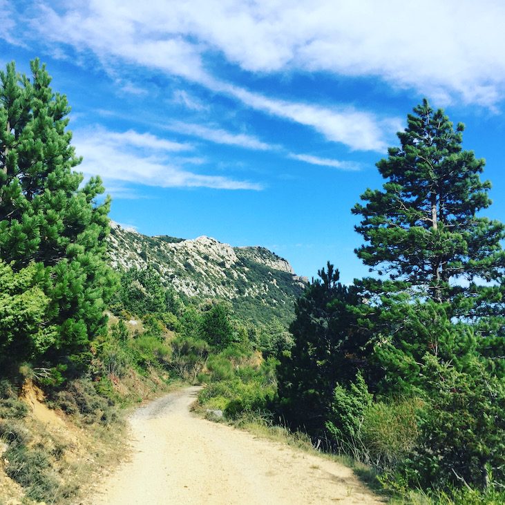Languedoc-Roussillon Südfrankreich Frankreich Wandern mit Hund Wanderung Pays Cathare Karstlandschaft