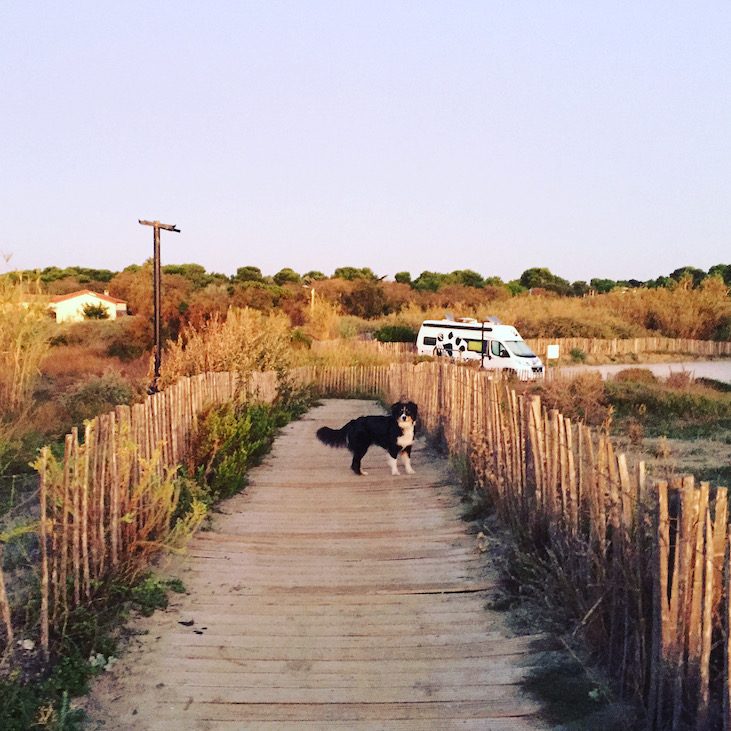 Languedoc Roussillon Languedoc Roussillon Wildcamping camping mit Hund Kastenwagen Wohnmobilurlaub Rundreise Südfrankreich Mittelmeer