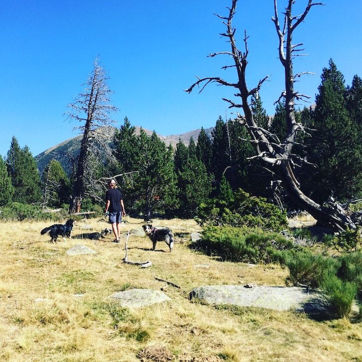 Wandern mit Hund Spanien Cerdanya Katalonien Tessa Plana de Lles Estany de la Muga