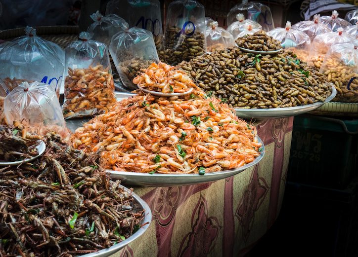 Insekten-Protein Insekten-Protein Markt Thailand Asien Insekten Essen Entomophagie