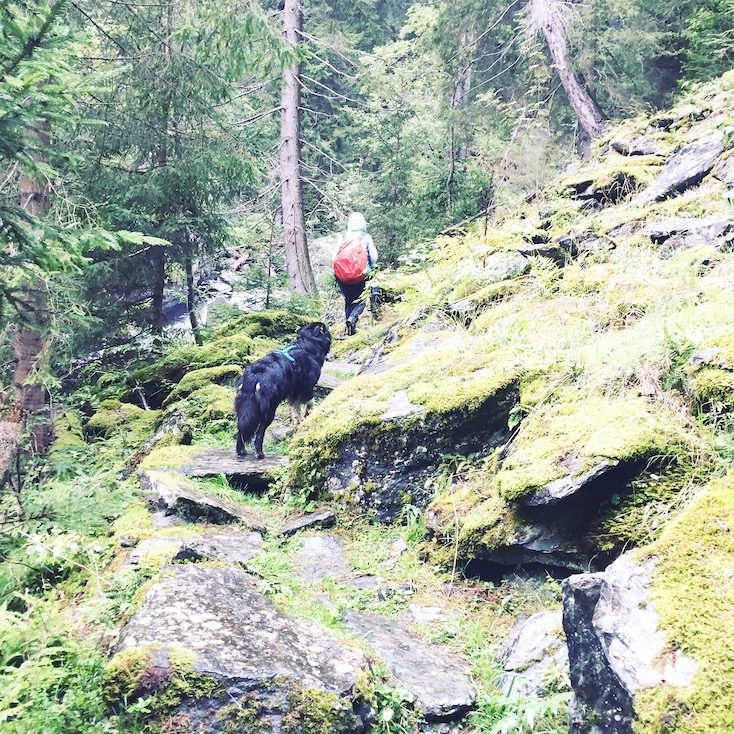 Alpe-Adria-Trail mit Hund Rabischschlucht Kärnten wandern Wanderung Weitwandern