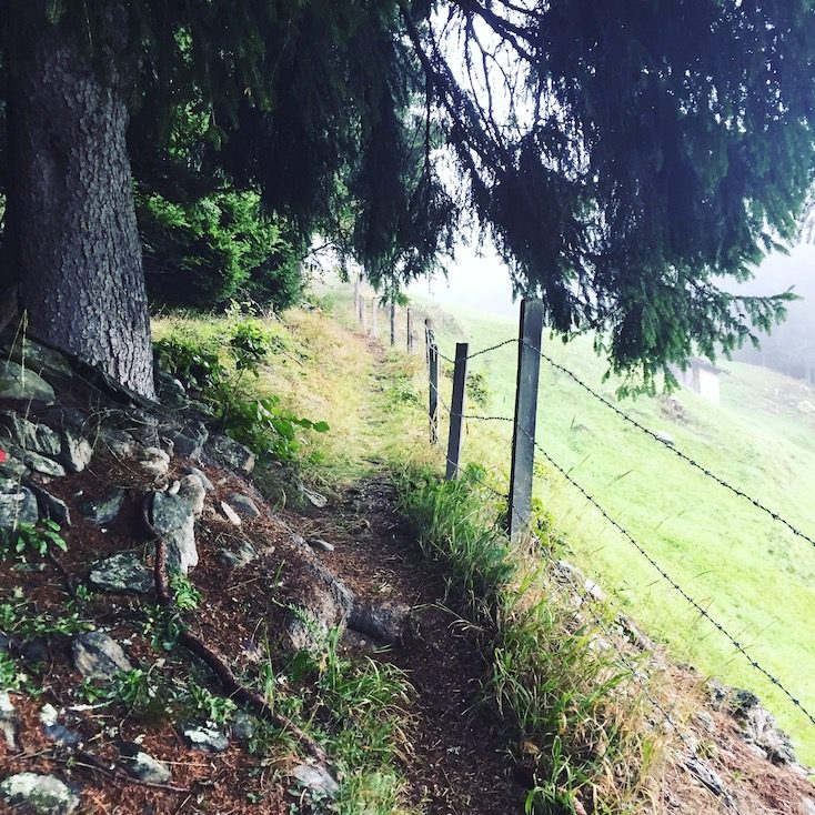 Alpe Adria Trail Weitwandern Hund Kärnten Mölltal Wanderung