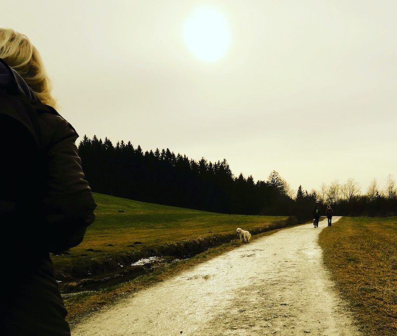 Wandern mit Hund Maisinger See Fünf-Seen-Land Bayern Starnberg geführte Wanderung Winterwanderung