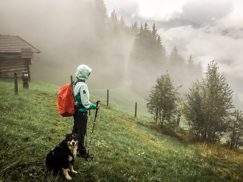 Weitwandern hund Kärnten Österreich Alpen