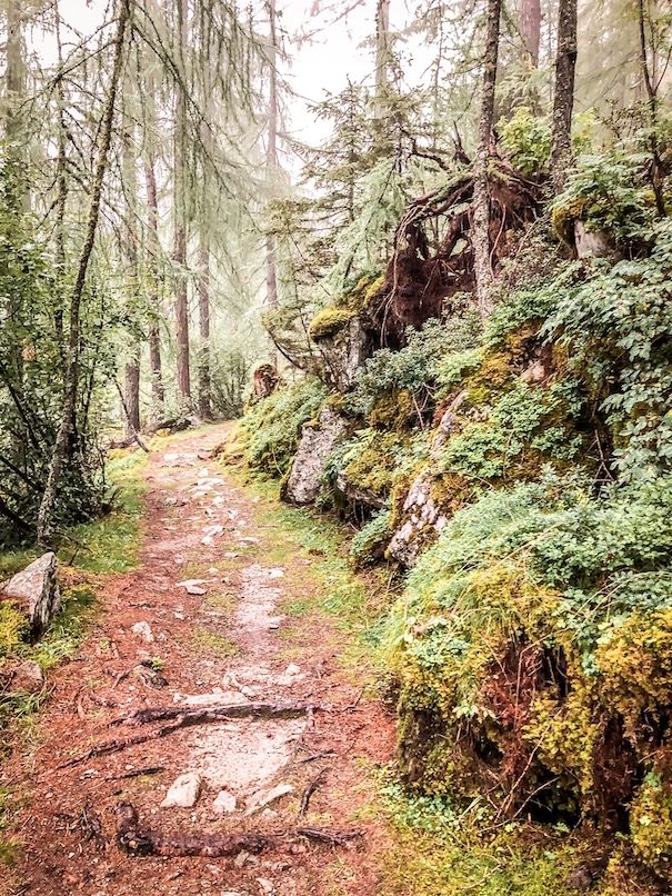 Alpe-Adria-Trail Weitwanderweg Alpen Hund Fernwandern