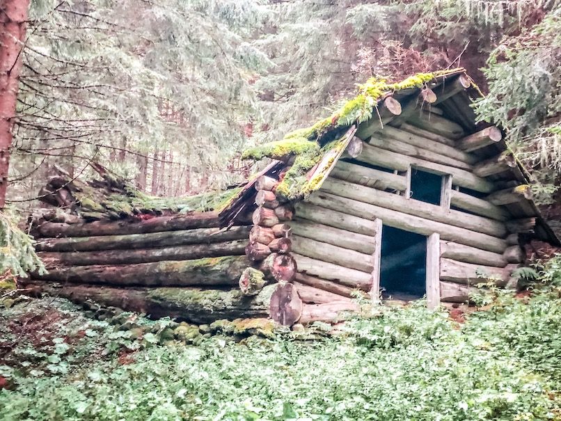 Wandern mit Hund Kärnten Wald Märchenwald urig weitwandern