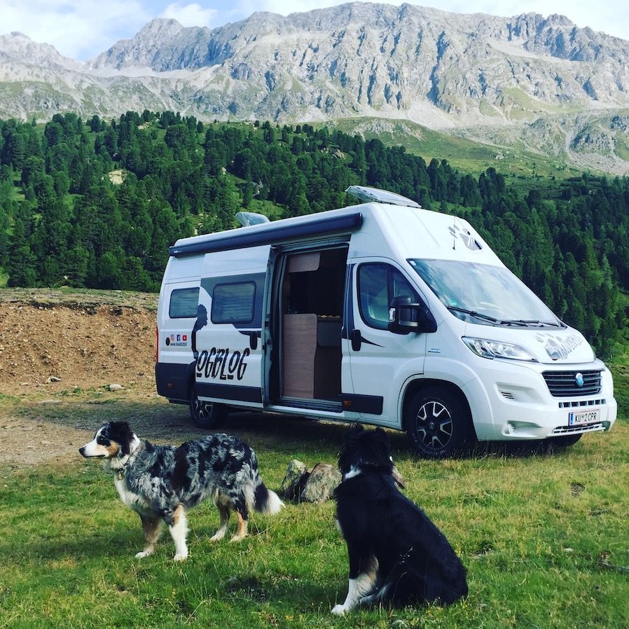 Camping mit Hund Kastenwagen Australian Shepherd Knaus Freeway