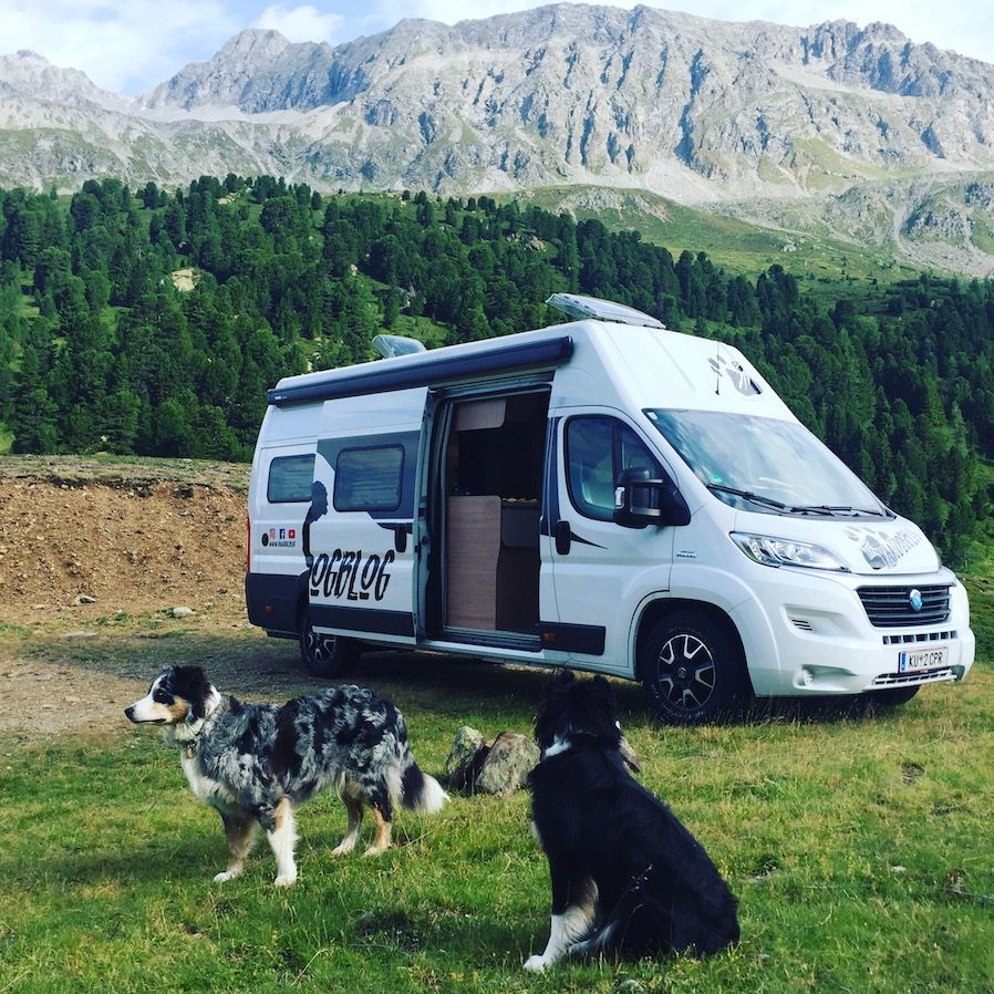 Camping mit Hund Kastenwagen Australian Shepherd Knaus Freeway