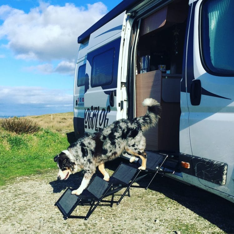 Hundetreppe Rampe Einstiegshilfe Wohnmobil Campingbus PKW