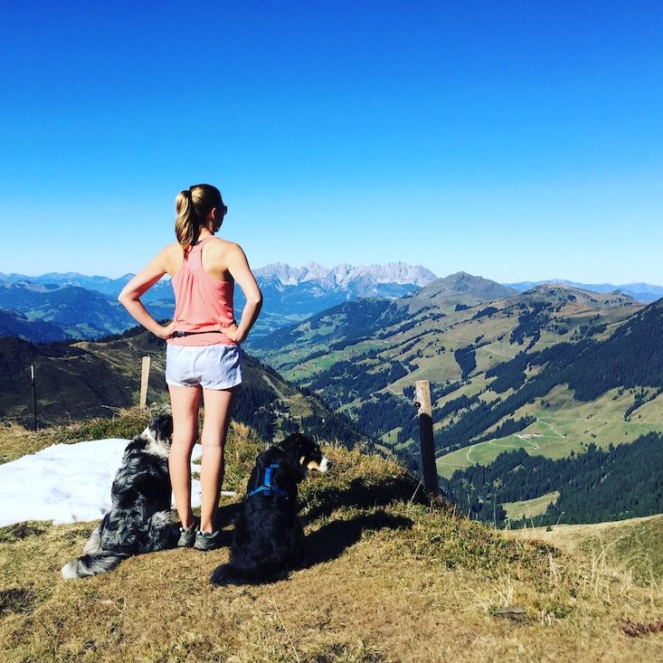 Wandern mit Hund Camping mit Hund wandern Wanderung Tirol Australian Shepherd Berge