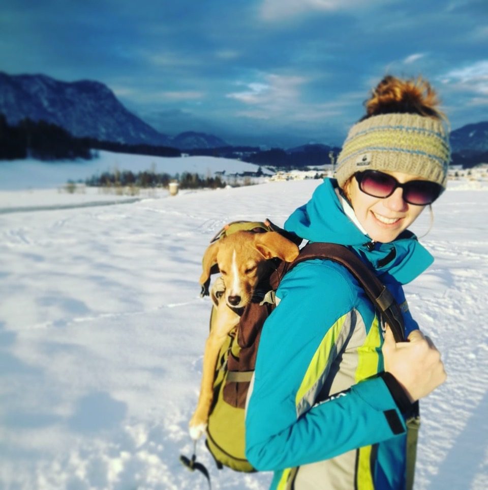 Wandern mit Hund wandern mit Hund Hunderucksack reisen mit hund