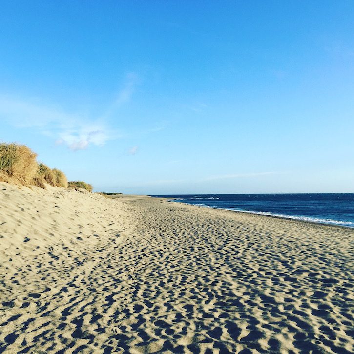 Languedoc Roussillon Languedoc Roussillon Le Brasilia Südfrankreich Frankreich Canet-Plage Camping mit Hund Urlaub Mittelmeer Sandstrand